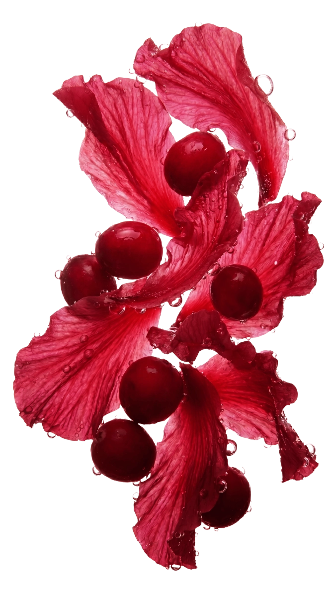 Dripl cranberry hibiscus