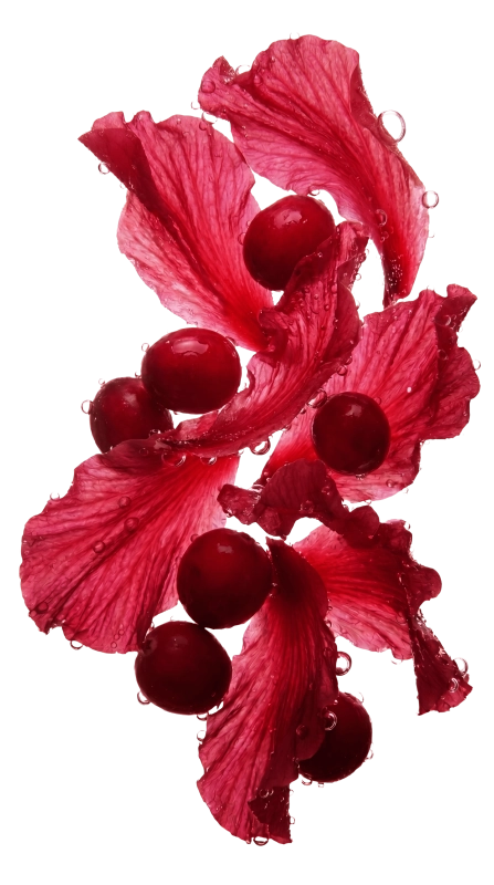 Dripl cranberry hibiscus
