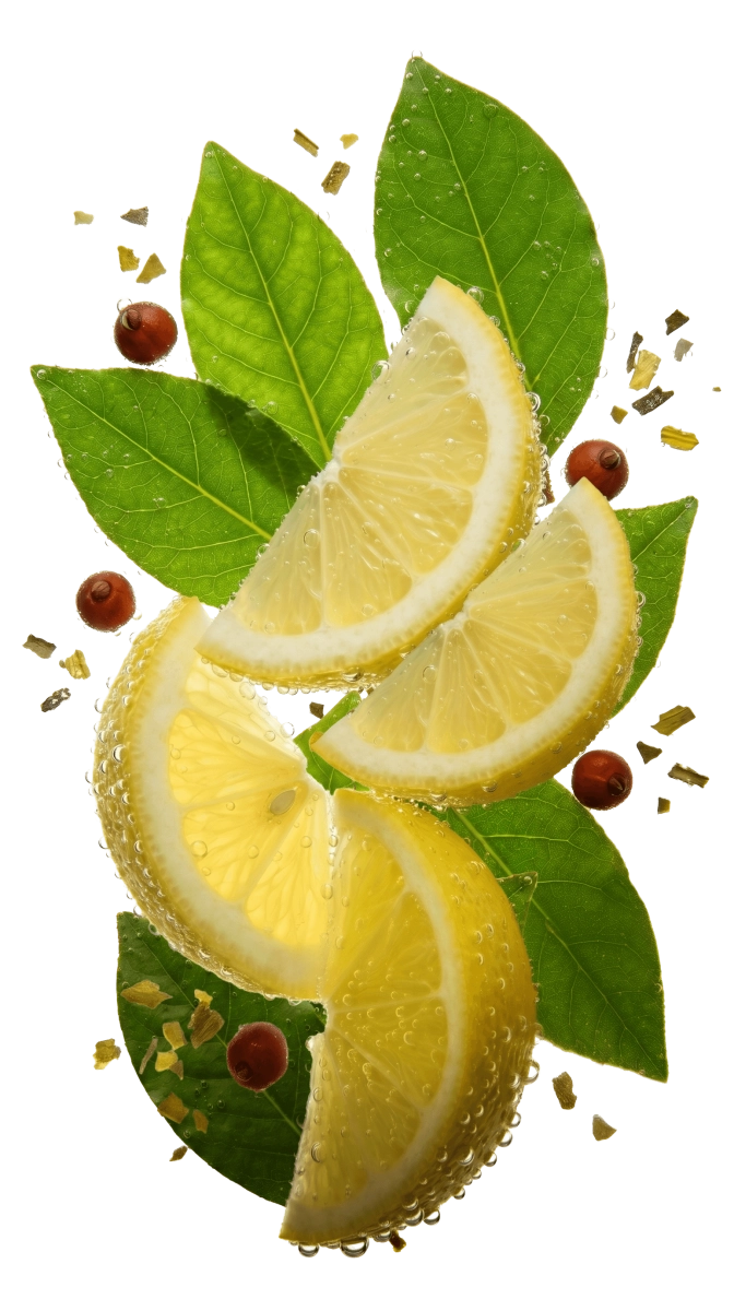 Dripl maté guarana (energizer)