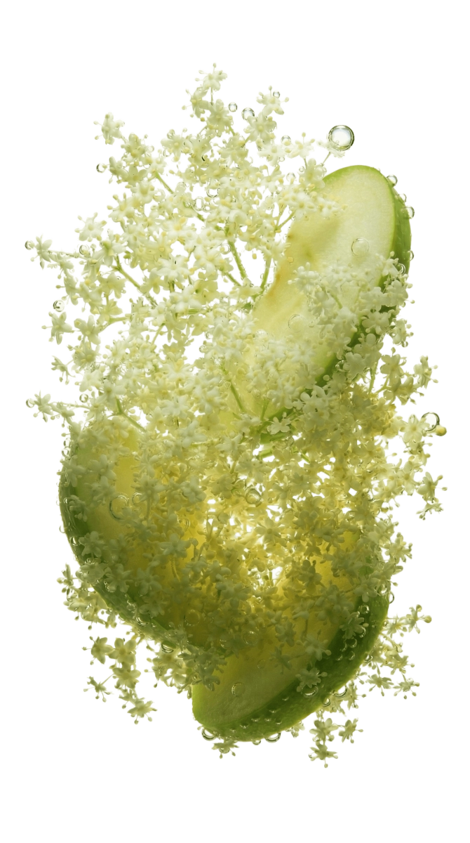 Dripl elderflower
